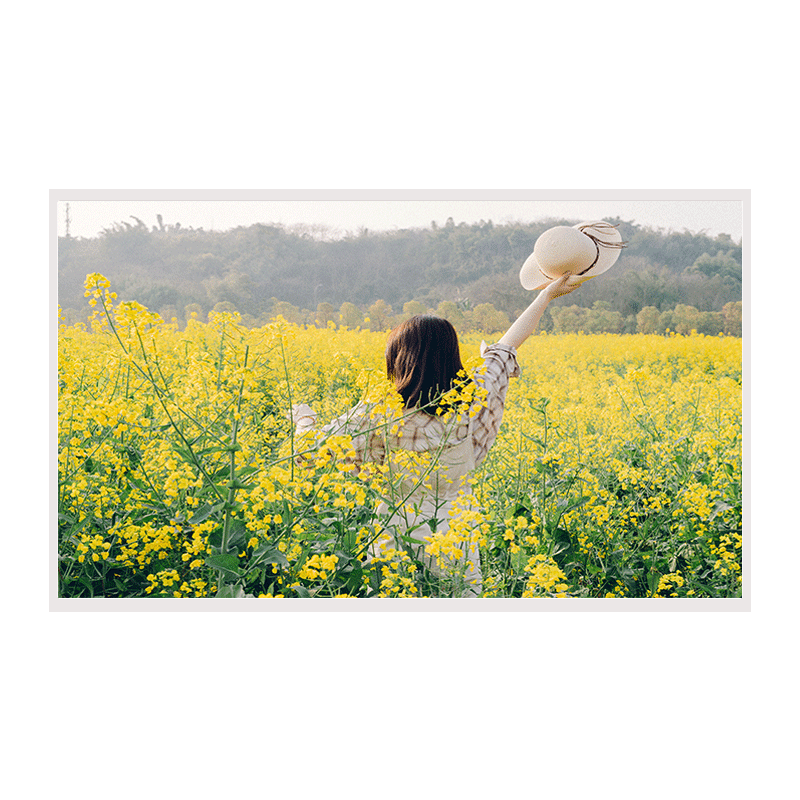 1607419455548172.png 1607419455548172.png